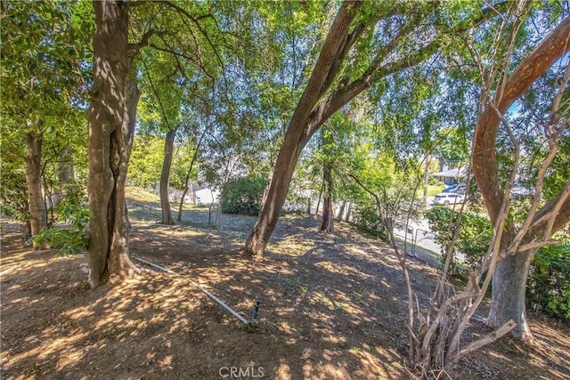 30993 Palo Alto Dr, Redlands, CA 92373 - view of yard