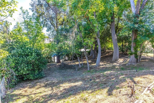 30993 Palo Alto Dr, Redlands, CA 92373 - view of yard