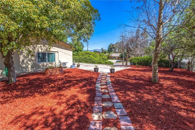 30993 Palo Alto Dr, Redlands, CA 92373 - view of yard