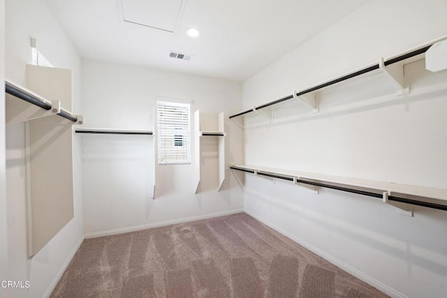 walk in closet featuring visible vents and carpet floors