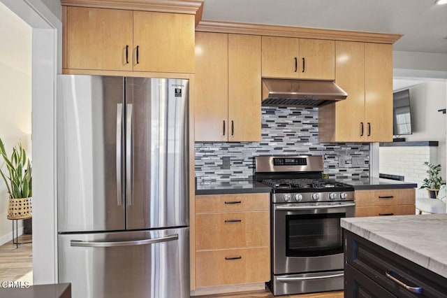 kitchen featuring stainless steel appliances, under cabinet range hood, light wood-style flooring, and backsplash