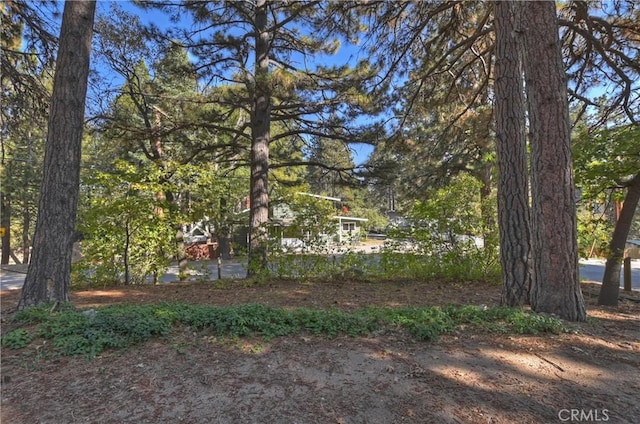 31867 Wagon Wheel Dr, Running Springs, CA 92382 - view of yard