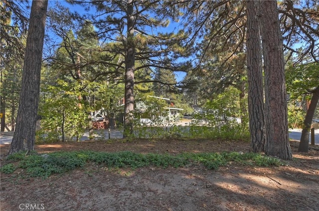 31867 Wagon Wheel Dr, Running Springs, CA 92382 - view of yard