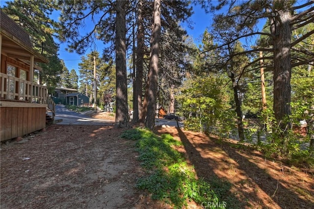 31867 Wagon Wheel Dr, Running Springs, CA 92382 - view of yard