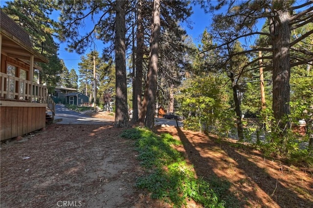 31867 Wagon Wheel Dr, Running Springs, CA 92382 - view of yard