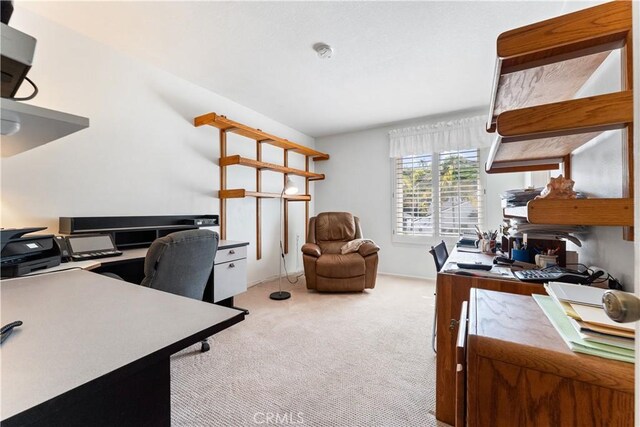 office with light colored carpet