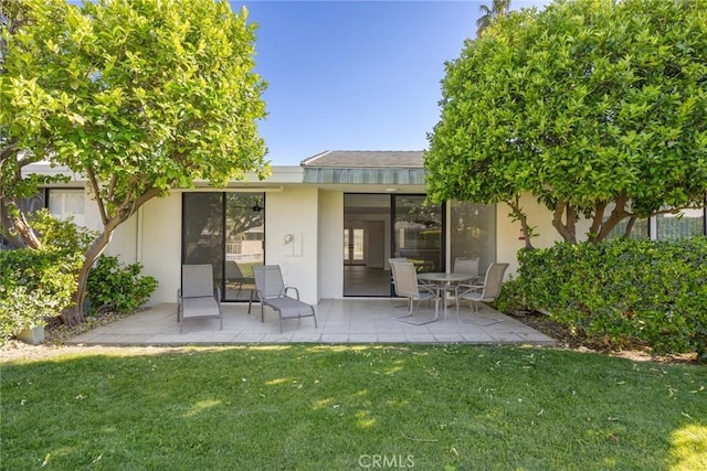 back of house featuring a patio, stucco siding, and a yard