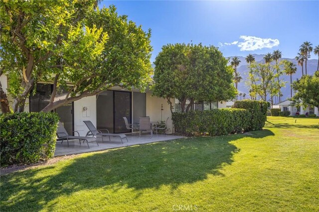 view of yard featuring a patio