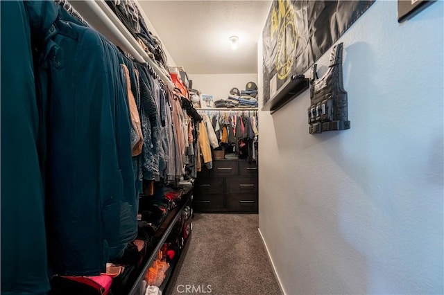 walk in closet featuring carpet