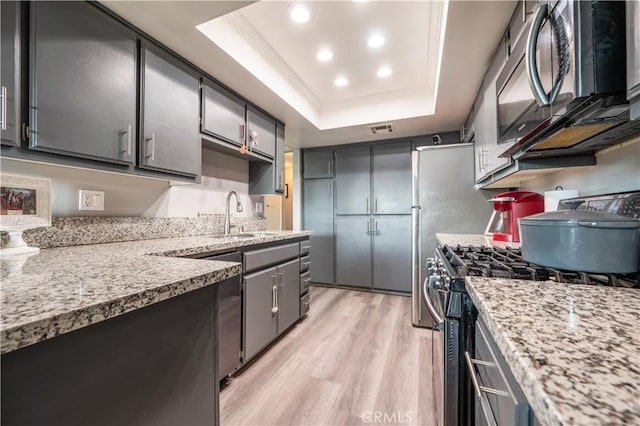 kitchen featuring a raised ceiling, a sink, appliances with stainless steel finishes, crown molding, and light wood-style flooring