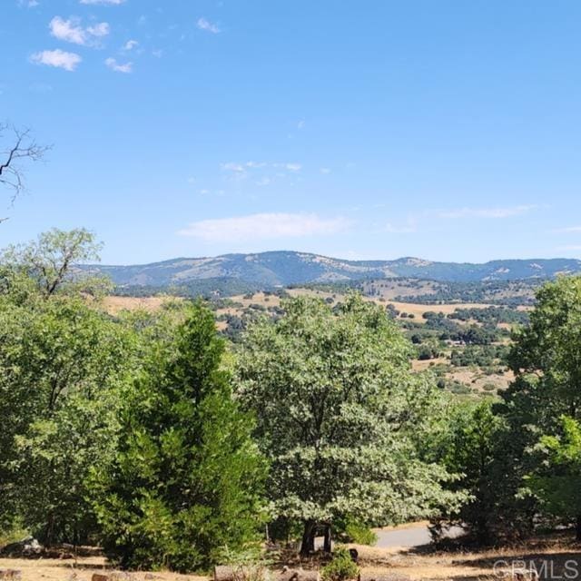 4129 Eagle Peak Rd, Julian, CA 92036 - photo 9