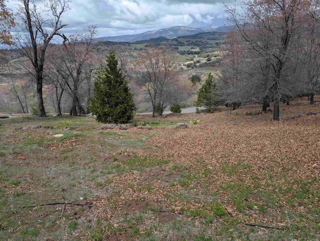 4129 Eagle Peak Rd, Julian, CA 92036 - photo 32