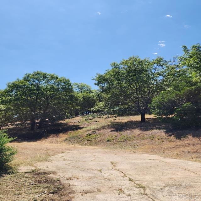 4129 Eagle Peak Rd, Julian, CA 92036 - photo 8