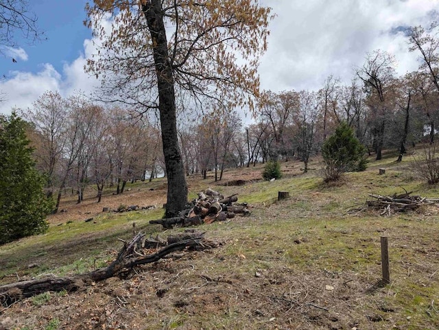 4129 Eagle Peak Rd, Julian, CA 92036 - photo 20