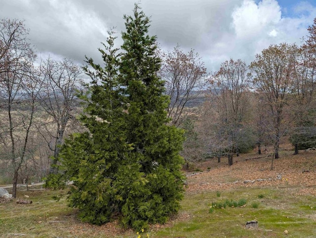 4129 Eagle Peak Rd, Julian, CA 92036 - photo 33