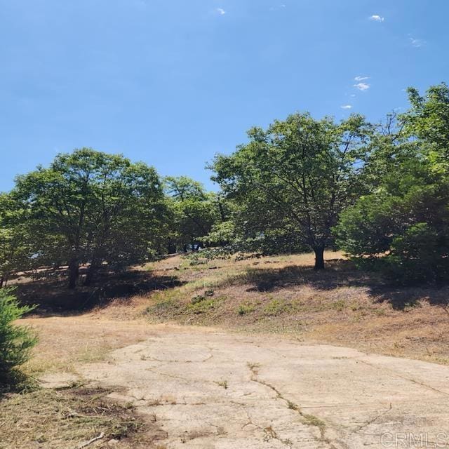 4129 Eagle Peak Rd, Julian, CA 92036 - photo 6