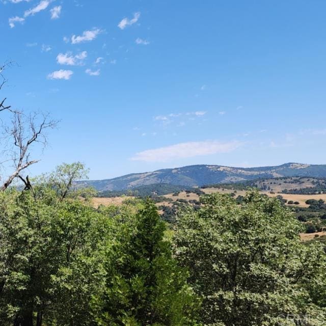 4129 Eagle Peak Rd, Julian, CA 92036 - photo 10
