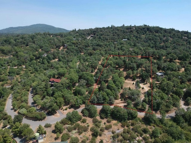 4129 Eagle Peak Rd, Julian, CA 92036 - photo 1