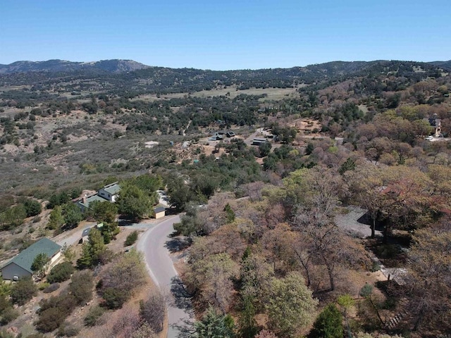 4129 Eagle Peak Rd, Julian, CA 92036 - photo 29