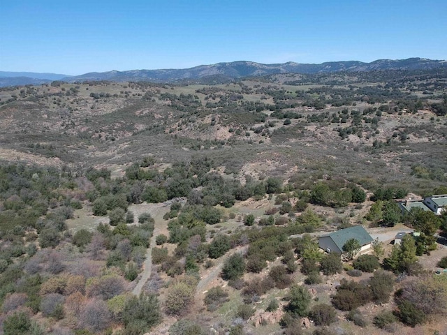4129 Eagle Peak Rd, Julian, CA 92036 - photo 28