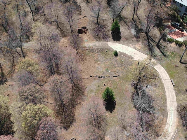 4129 Eagle Peak Rd, Julian, CA 92036 - photo 12