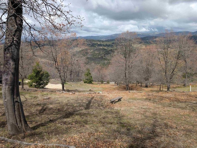 4129 Eagle Peak Rd, Julian, CA 92036 - photo 31