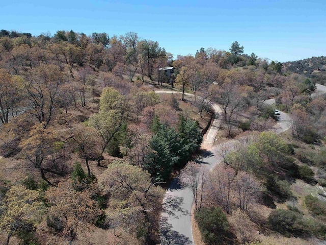 4129 Eagle Peak Rd, Julian, CA 92036 - photo 25
