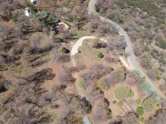 4129 Eagle Peak Rd, Julian, CA 92036 - photo 15