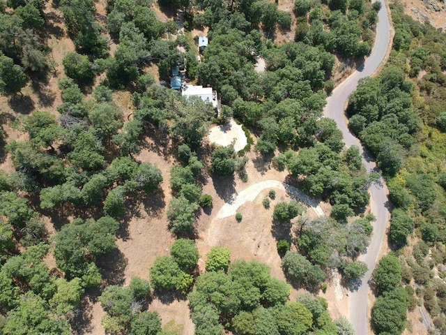 4129 Eagle Peak Rd, Julian, CA 92036 - photo 3