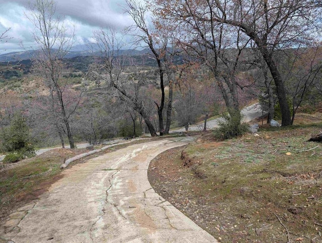 4129 Eagle Peak Rd, Julian, CA 92036 - photo 19