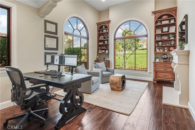 1217 Granvia Altamira, Palos Verdes Estates, CA 90274 - home office with a healthy amount of sunlight, baseboards, and dark wood-style floors