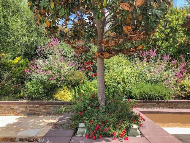 26951 Alsace Dr, Calabasas, CA 91302 - photo 53
