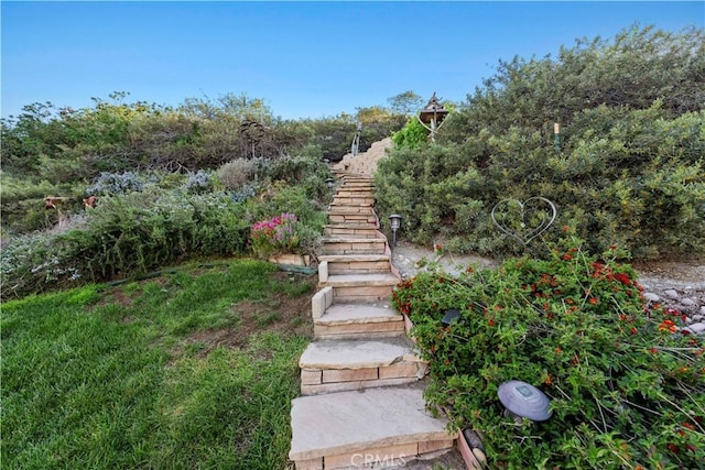 view of yard featuring stairs