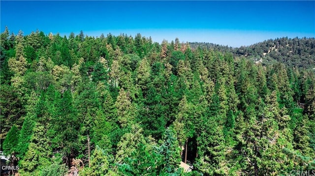 23624 Scenic Dr, Crestline, CA 92325 - photo 2