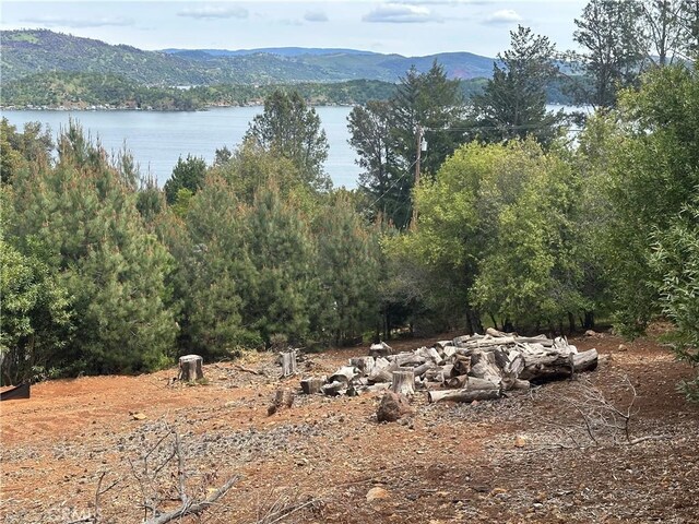 3510 Knob Cone Dr, Kelseyville, CA 95451