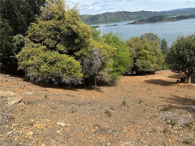 3340 Chaparral Ln, Kelseyville, CA 95451 - photo 5