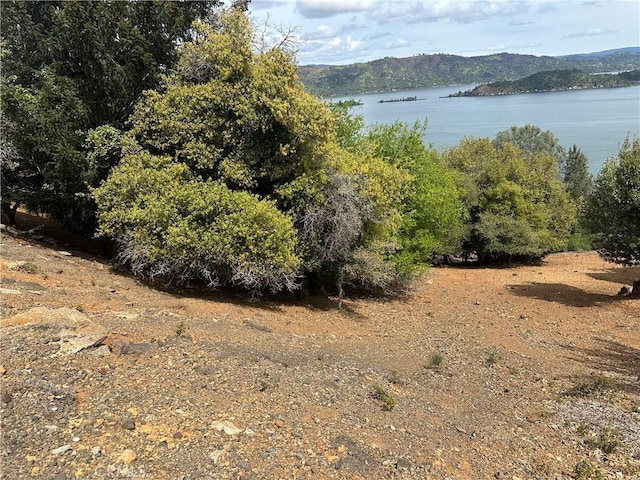 3340 Chaparral Ln, Kelseyville, CA 95451 - photo 4