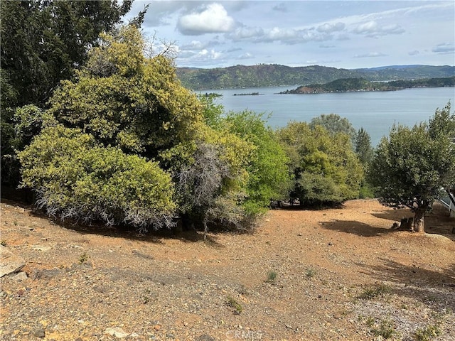 3340 Chaparral Ln, Kelseyville, CA 95451 - photo 6