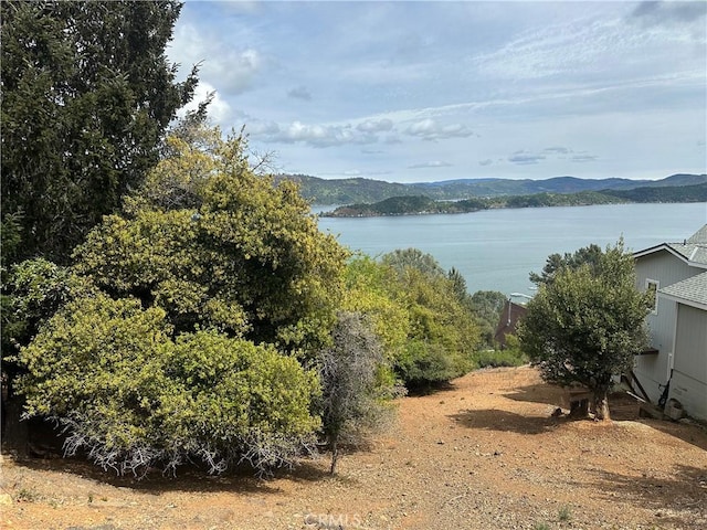 3340 Chaparral Ln, Kelseyville, CA 95451 - photo 2