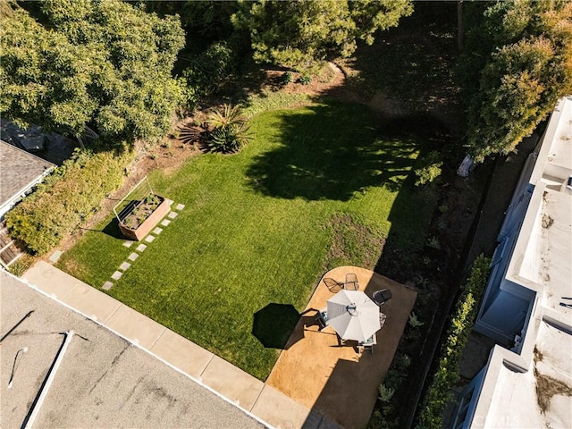 bird's eye view