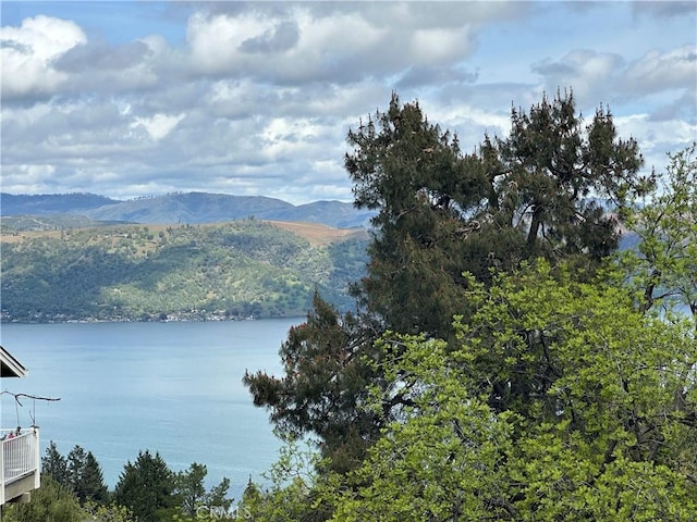 3680 Greenwood Dr, Kelseyville, CA 95451