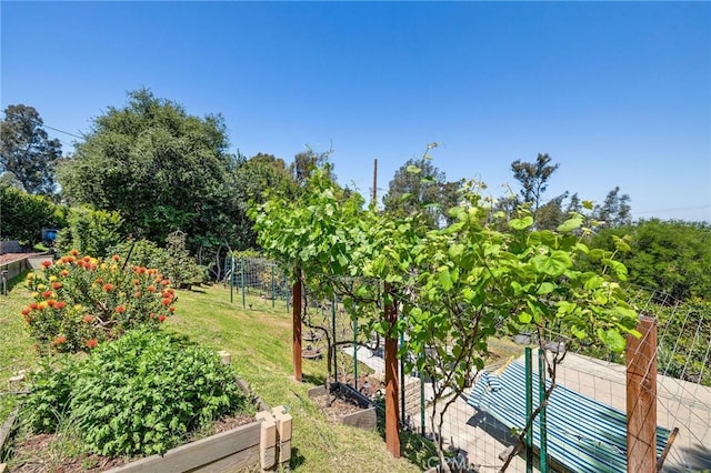 view of yard with fence and a garden