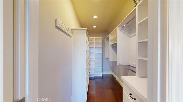 spacious closet featuring dark wood-style flooring