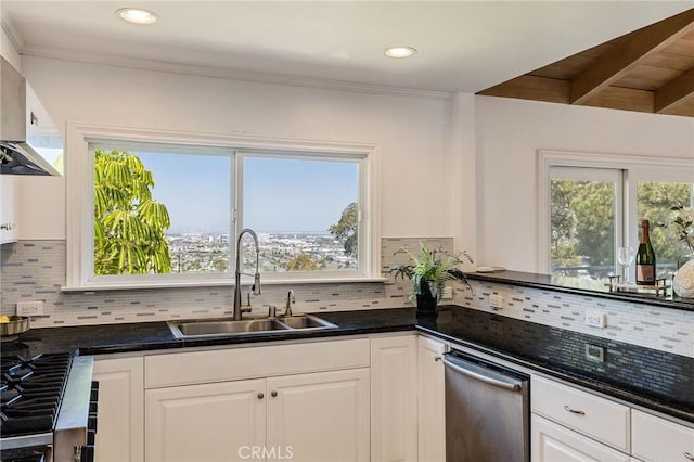 kitchen featuring white cabinets, a sink, range hood, and tasteful backsplash
