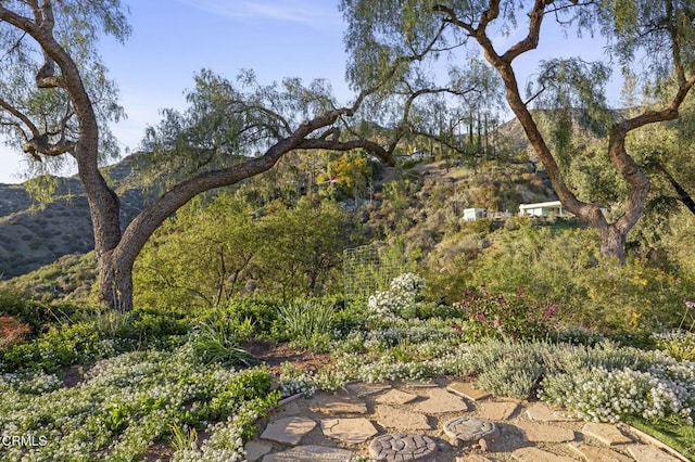 1417 Foothill Rd, Ojai, CA 93023 - view of yard