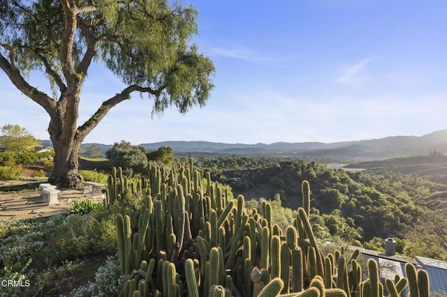 1417 Foothill Rd, Ojai, CA 93023 - mountain view