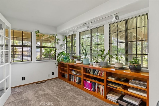 15 Quadra Ct, Chico, CA 95928 - sunroom featuring plenty of natural light and rail lighting