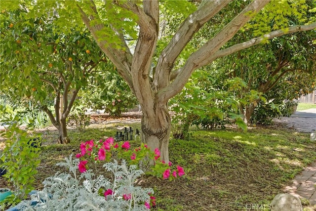 15 Quadra Ct, Chico, CA 95928 - view of yard