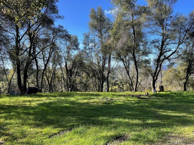 5857 Allred Rd, Mariposa, CA 95338 - photo 63