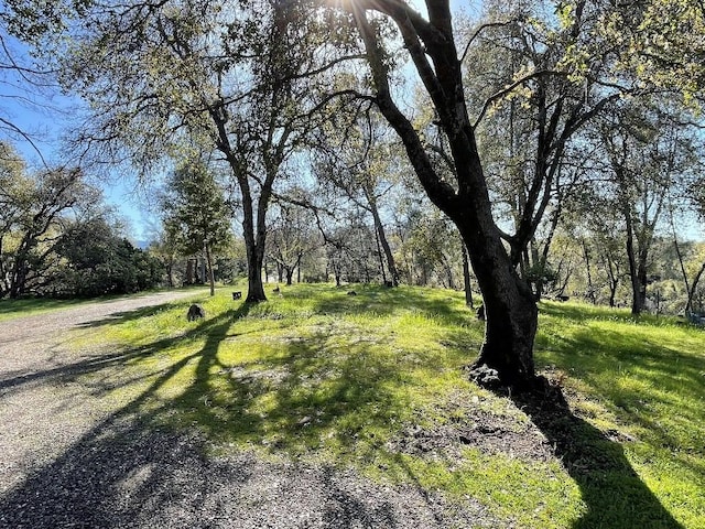 5857 Allred Rd, Mariposa, CA 95338 - photo 62